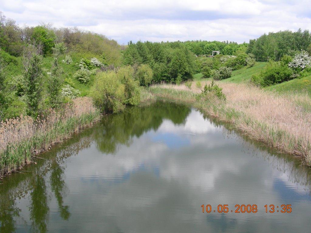 Кам'яне Поле з panoramio.com - Каменное Поле
