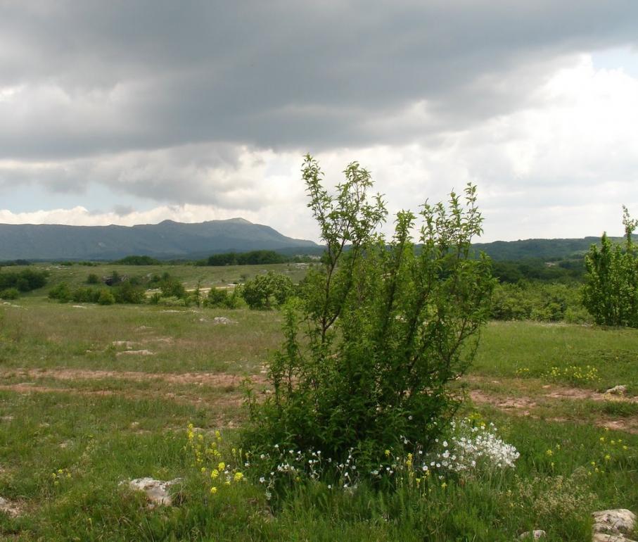 Мраморне з panoramio.com (ч.2) - Мраморное