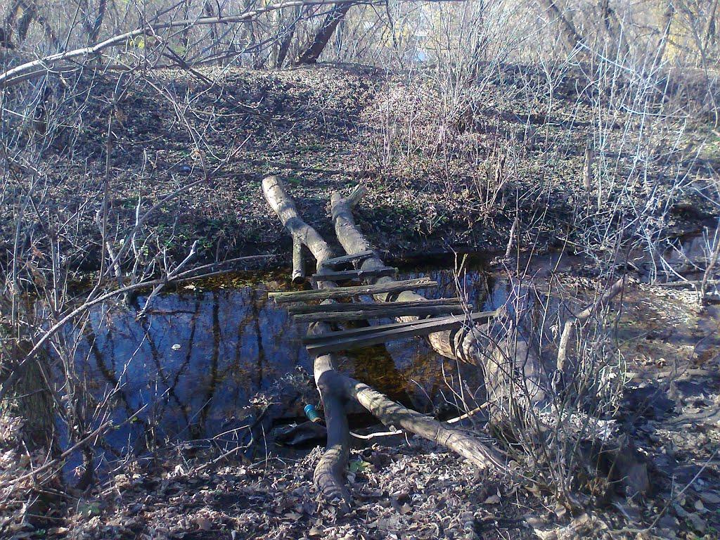 Артема з panoramio.com - Довга Балка