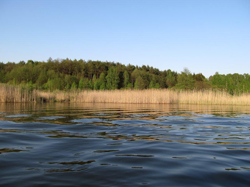 Хворостів з panoramio.com - Хворостів