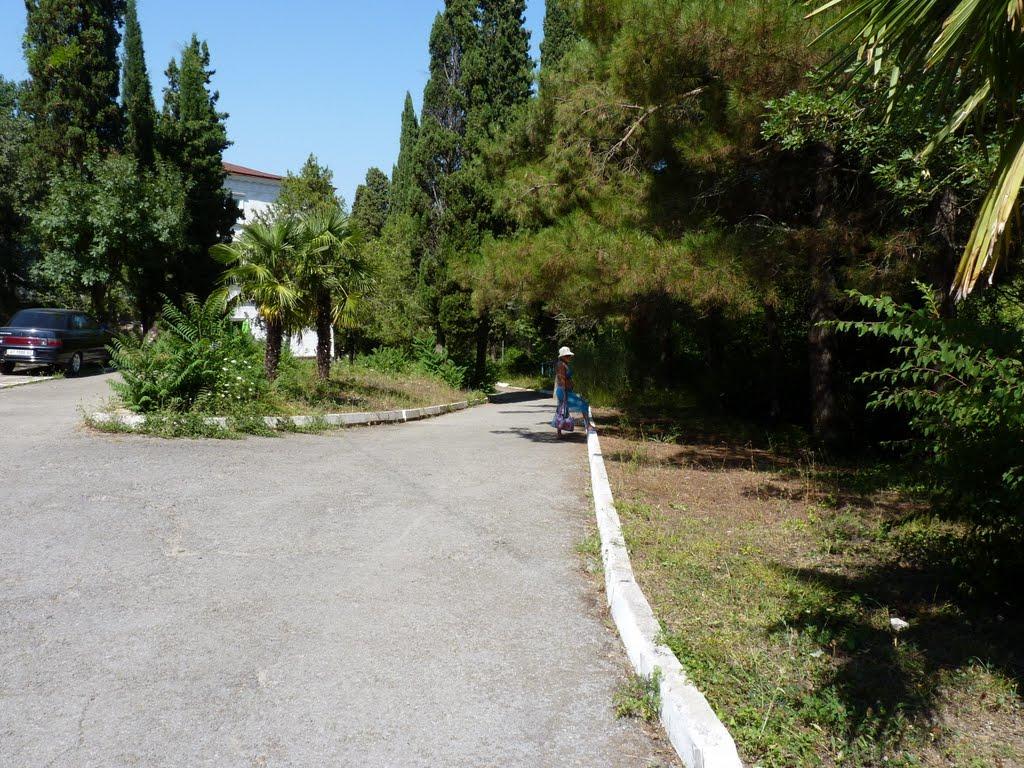 Лазурне з panoramio.com - Lazurne