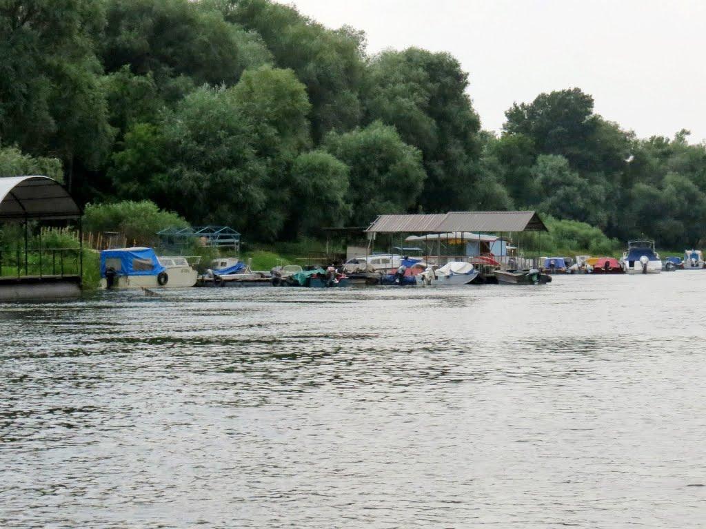Станично-Луганське з panoramio.com (ч.2) - Станично-Луганское