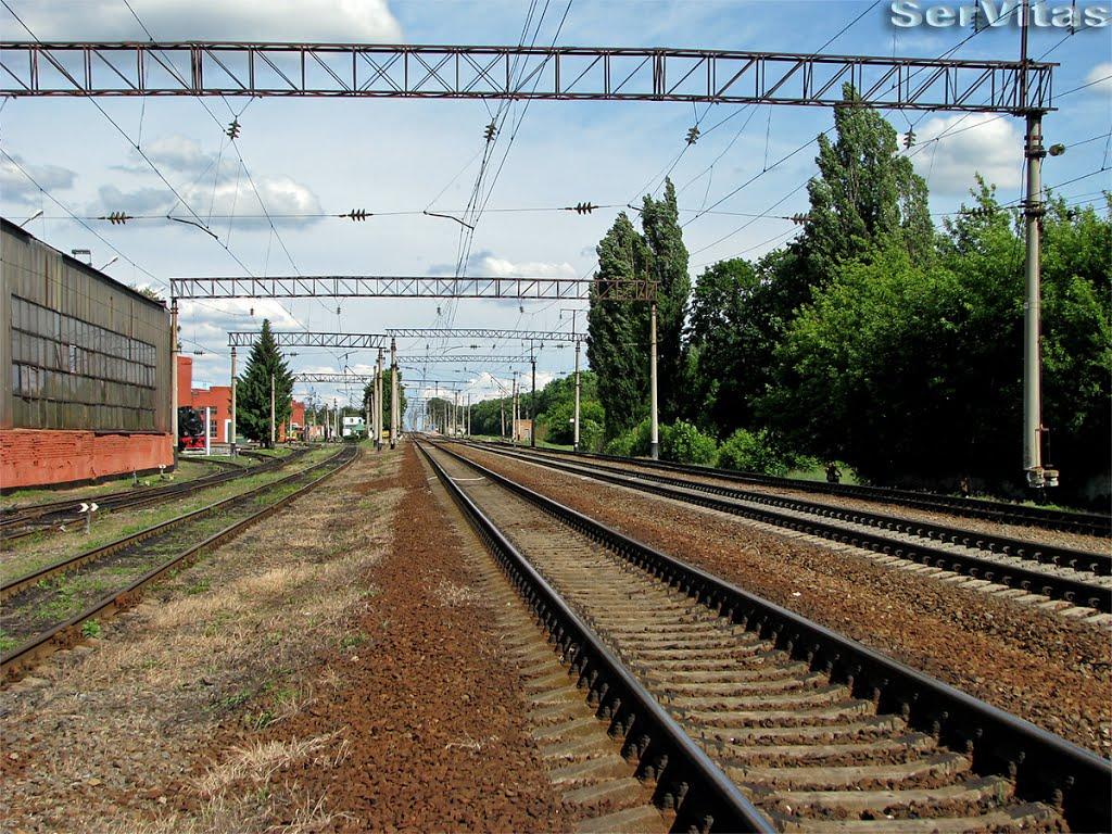 Гребінка з panoramio.com - Гребінка