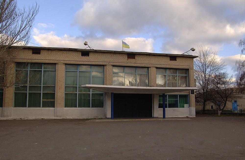 Новомиколаївка з panoramio.com - Новомиколаївка
