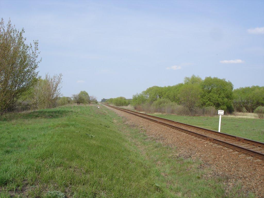 Вишнівське з panoramio.com - Вишнівське