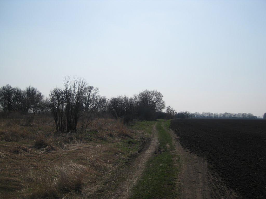 Підок з panoramio.com - Подок