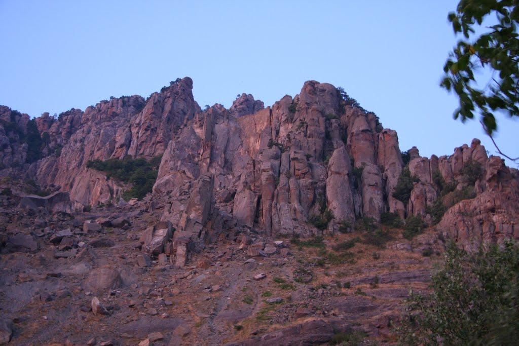 Лаванда з panoramio.com (ч.2) - Лаванда