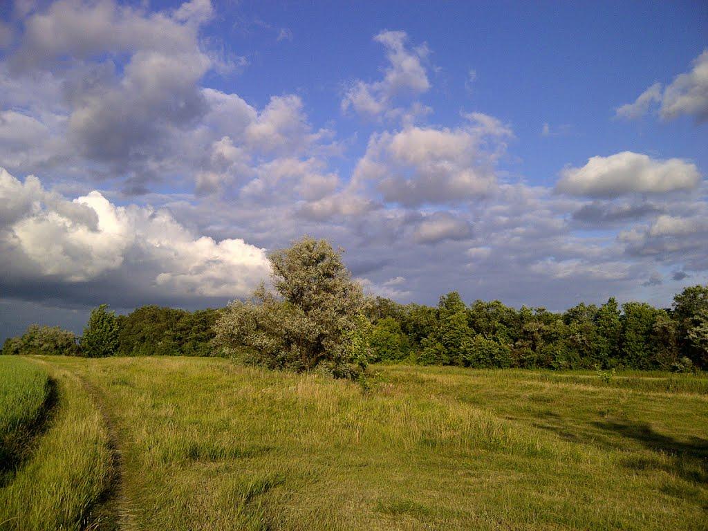 Талалаївка з panoramio.com - Talalaivka