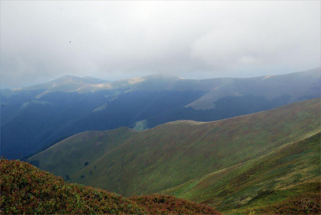 Гукливий з panoramio.com (ч.2) - Гукливий