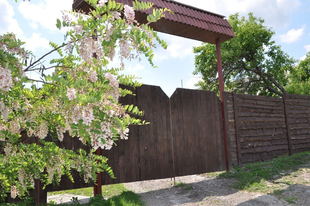 Черняхів з panoramio.com - Черняхів