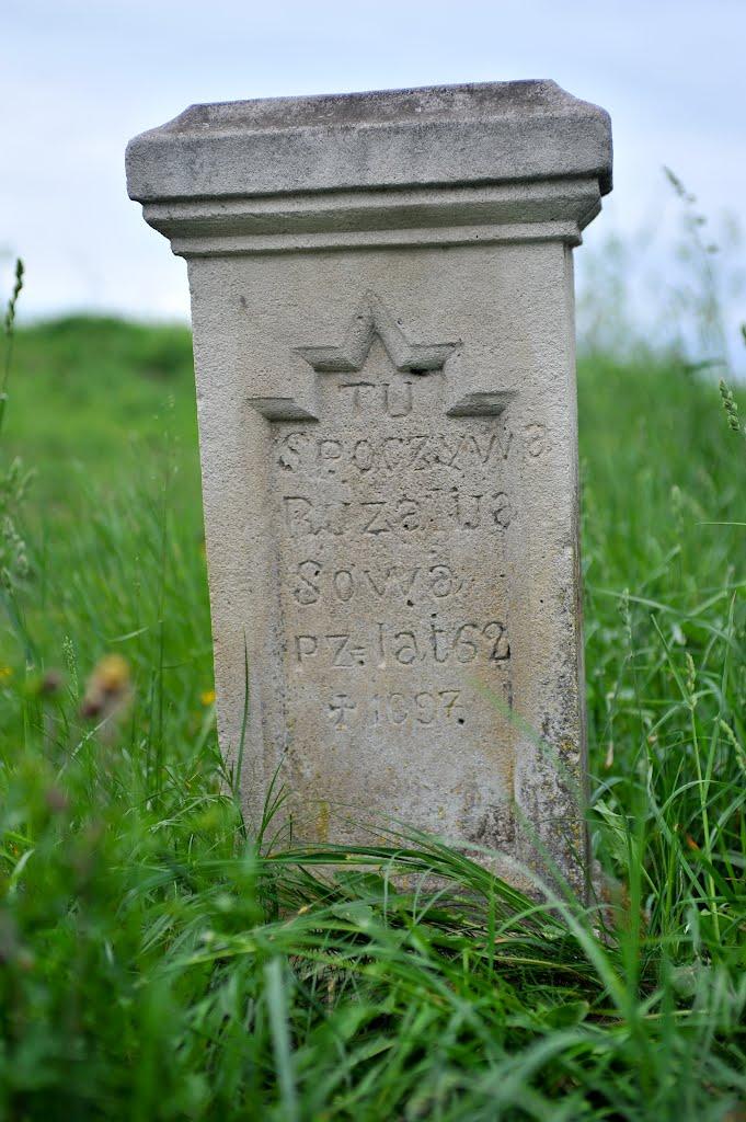 Жовтанці з panoramio.com - Жовтанці