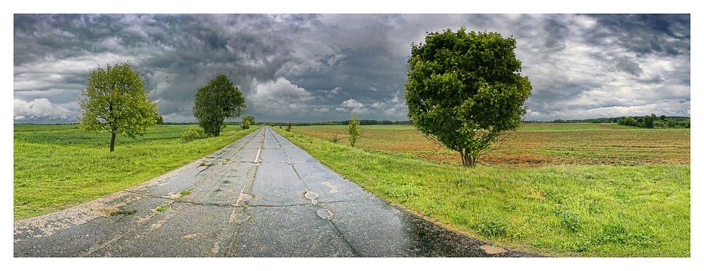 Любеч з panoramio.com - Любеч