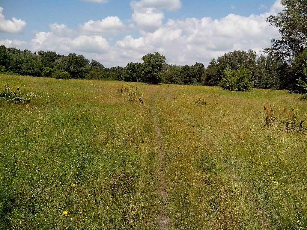 Приліпка з panoramio.com - Приліпка