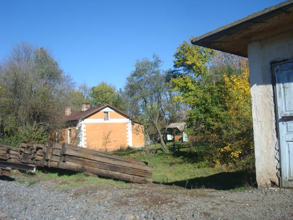 Западинці з panoramio.com - Западинці