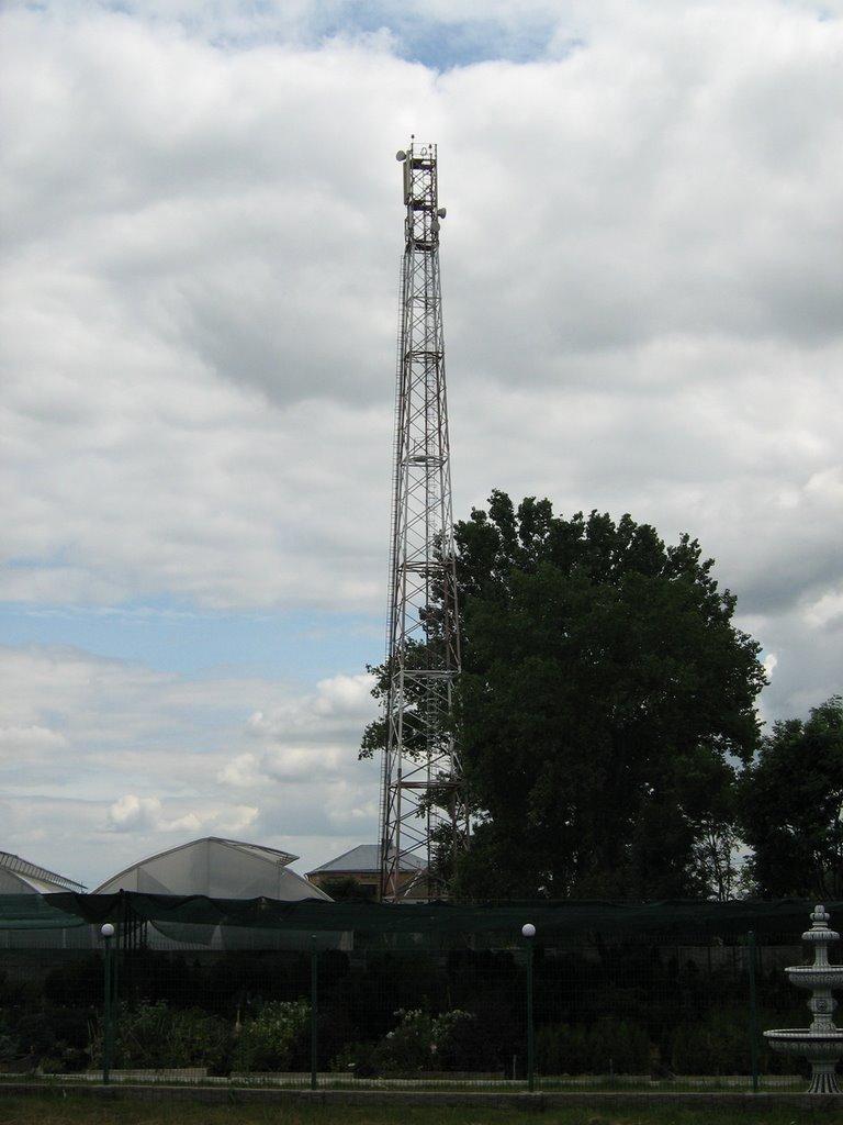 Куликів з panoramio.com - Куликов