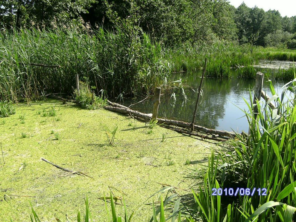 Глухів з panoramio.com - Глухів