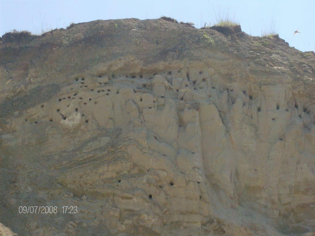 Рокитне з panoramio.com - Рокитне