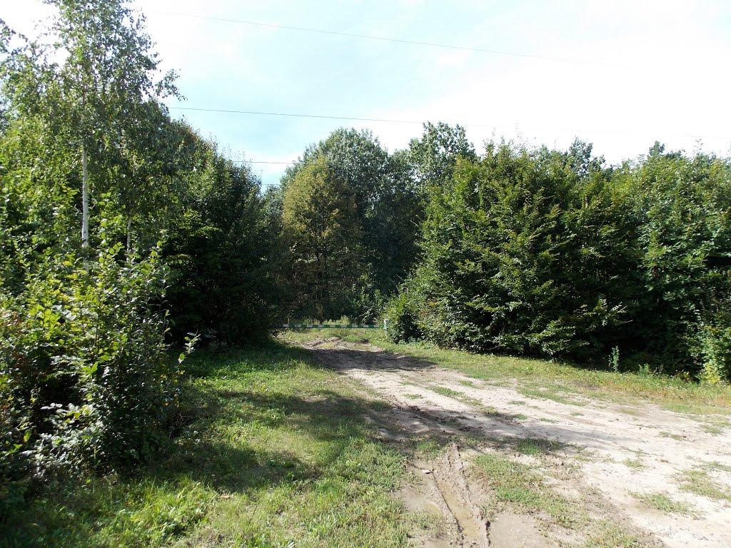 Жерденівка з panoramio.com - Жерденівка