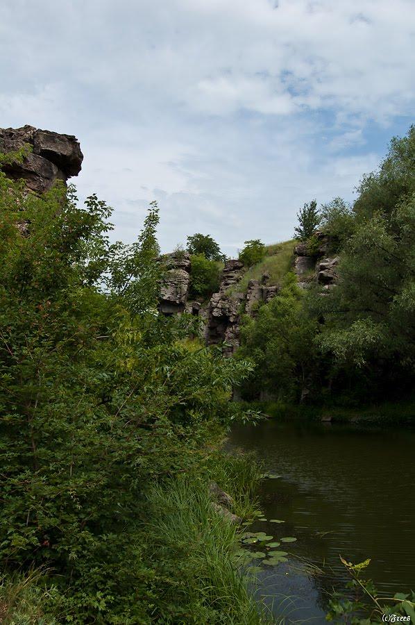 Буки з panoramio.com - Буки