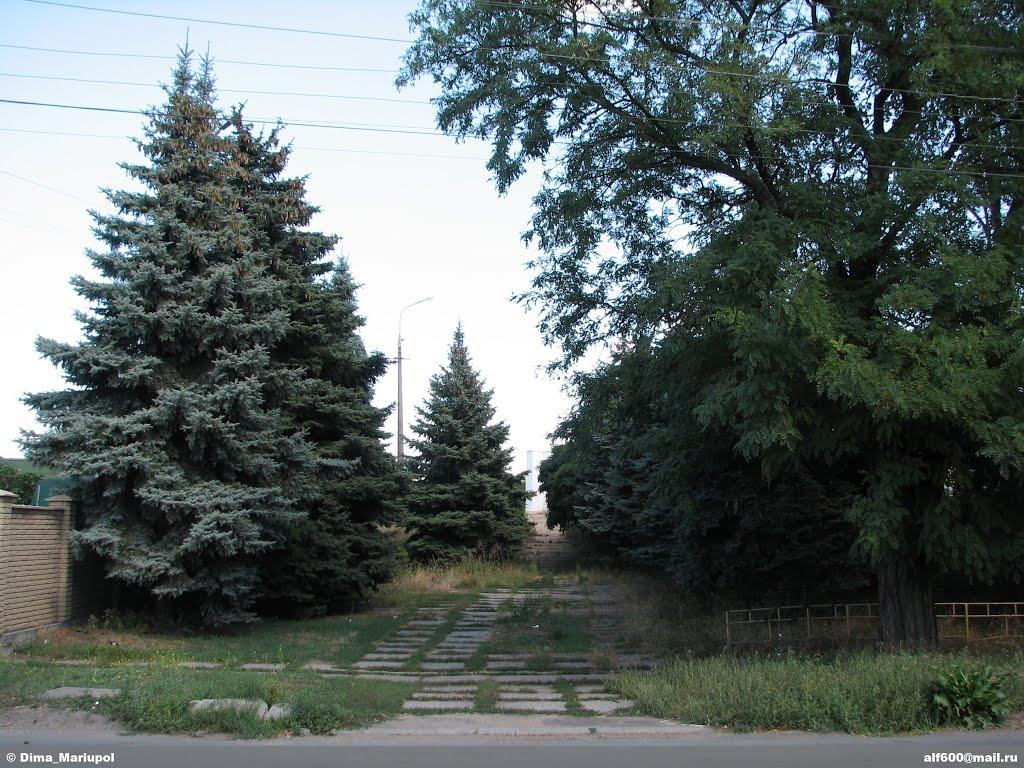 Іллічівське з panoramio.com - Іллічівське