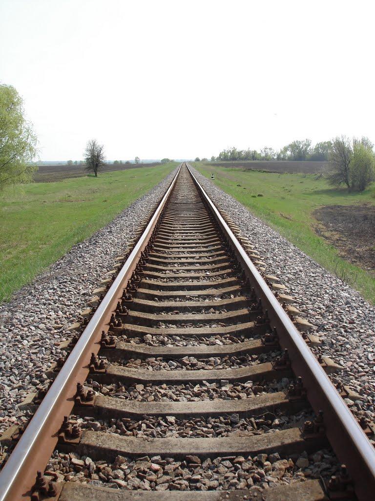 Вишнівське з panoramio.com - Вишнівське