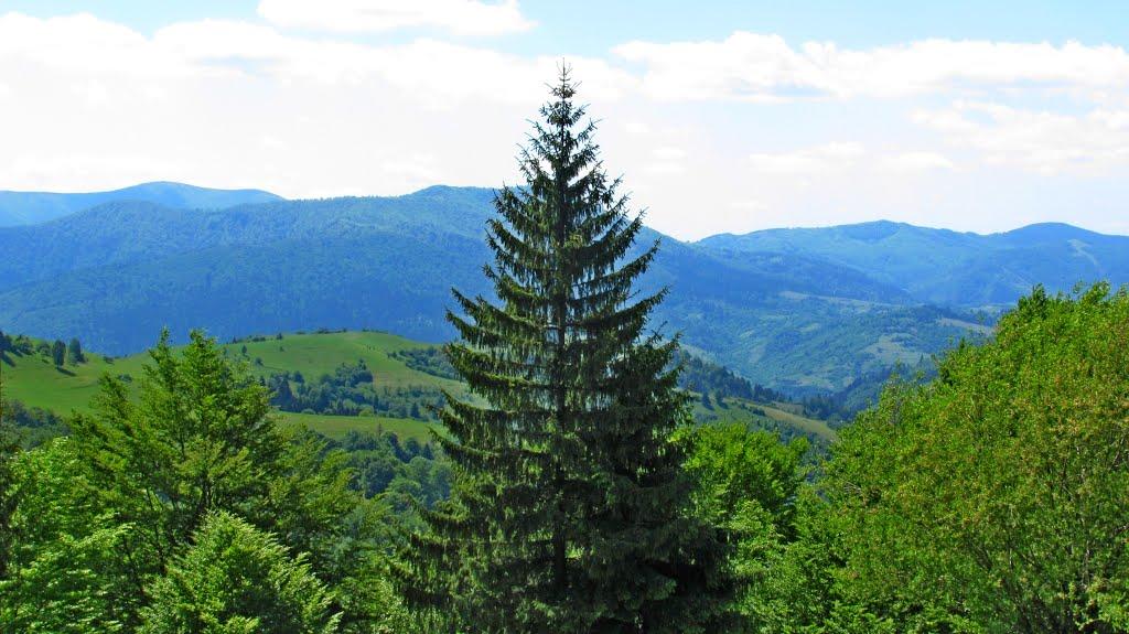 Загорб з panoramio.com - Загорб