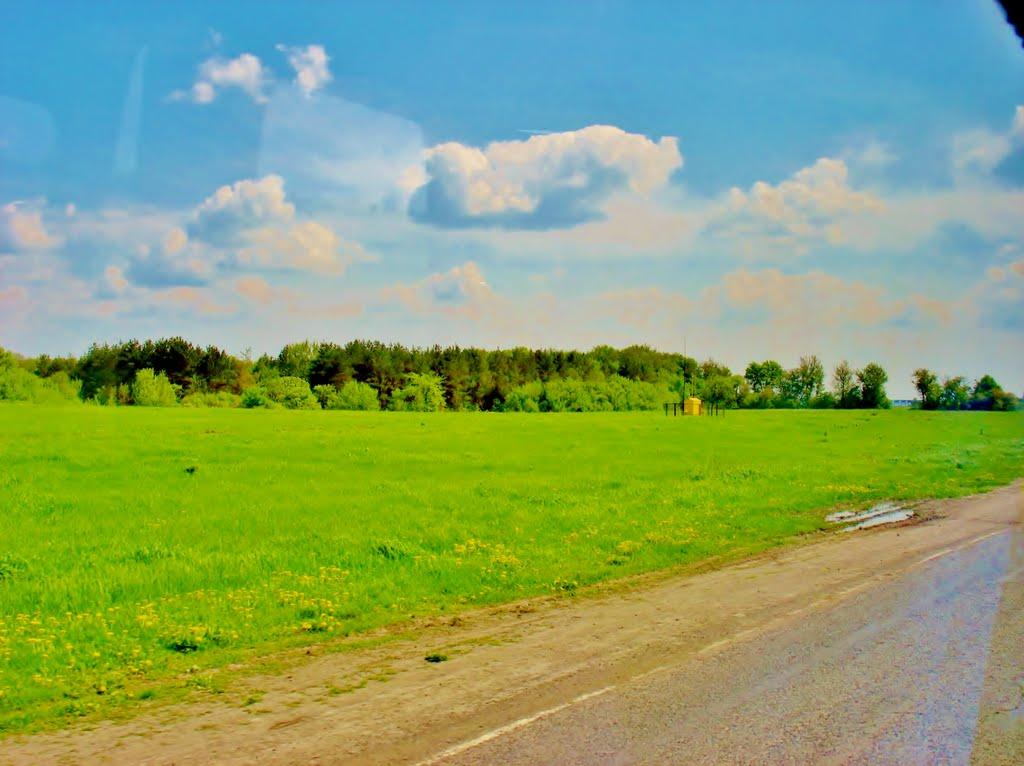 Лисянка з panoramio.com - Лысянка