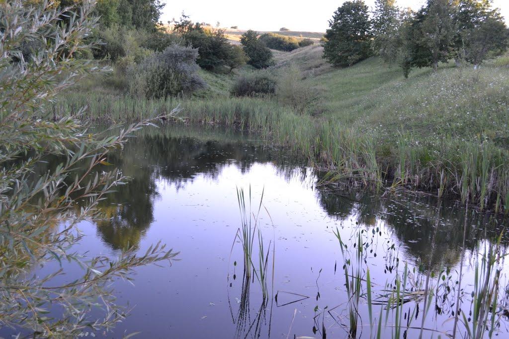 Нові Бросківці з panoramio.com - Нові Бросківці