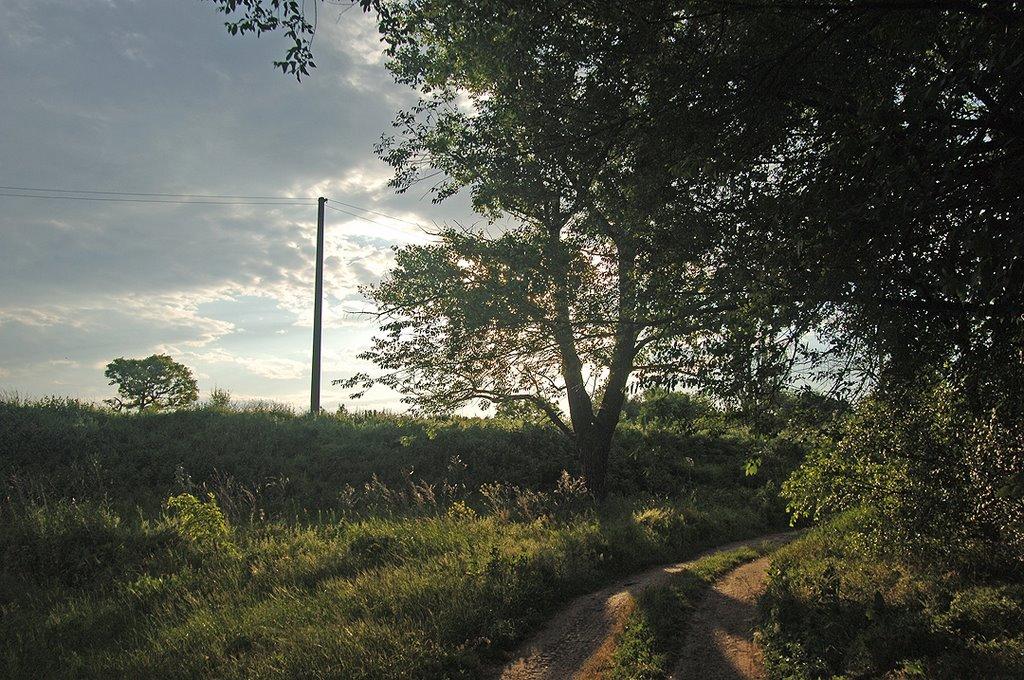 Новомиколаївка з panoramio.com - Новомиколаївка