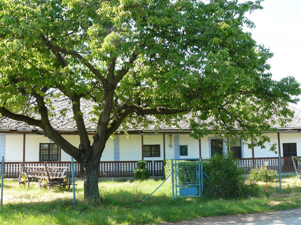 Сторожниця з panoramio.com - Сторожниця