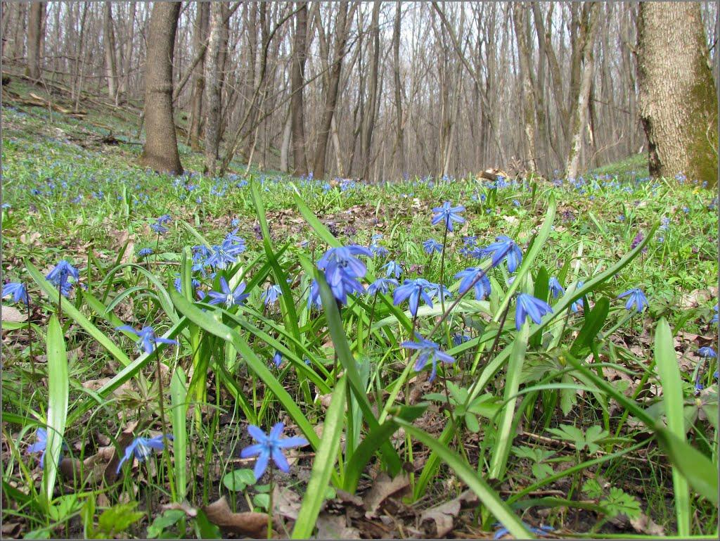 Маховик з panoramio.com - Маховик