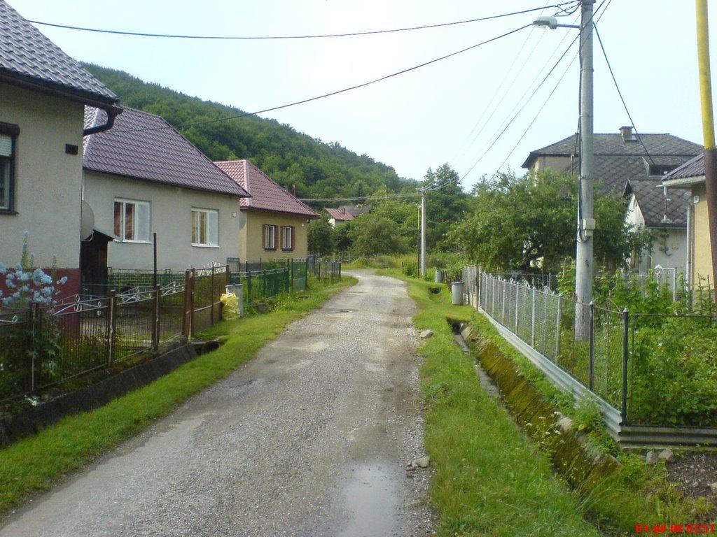 Завосина з panoramio.com (ч.2) - Завосина