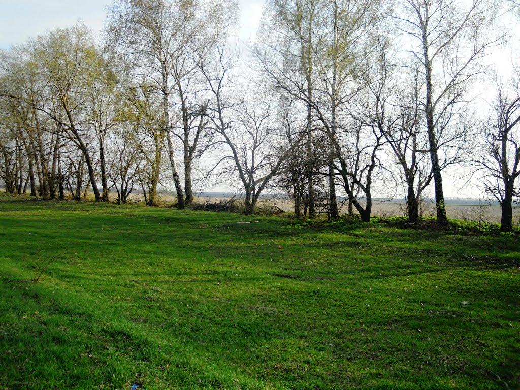 Сальниця з panoramio.com - Сальниця