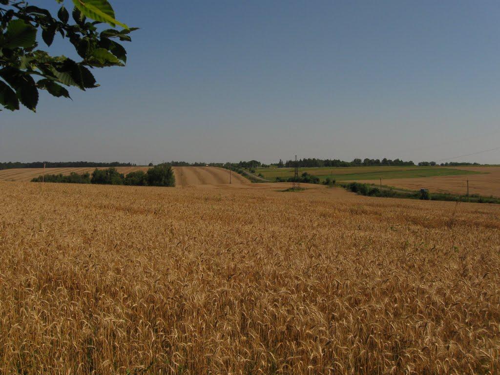 Жерденівка з panoramio.com - Жерденівка