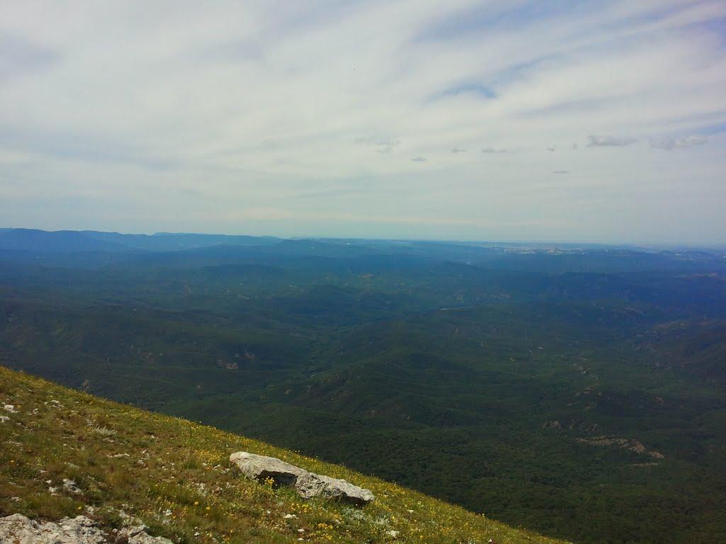 Розовий з panoramio.com (ч.2) - Розовий