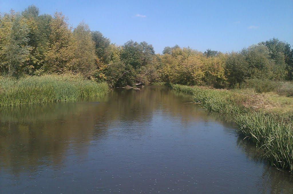 Лаврівка з panoramio.com - Лаврівка