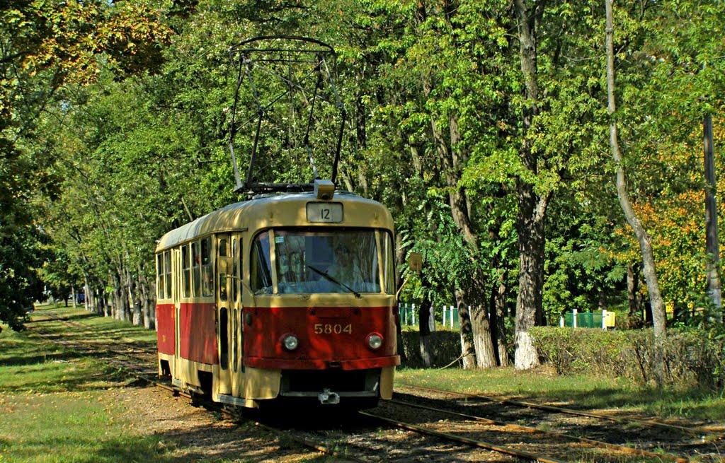 Горенка з panoramio.com - Горенка