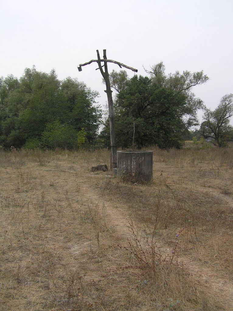 Винарівка з panoramio.com - Винарівка