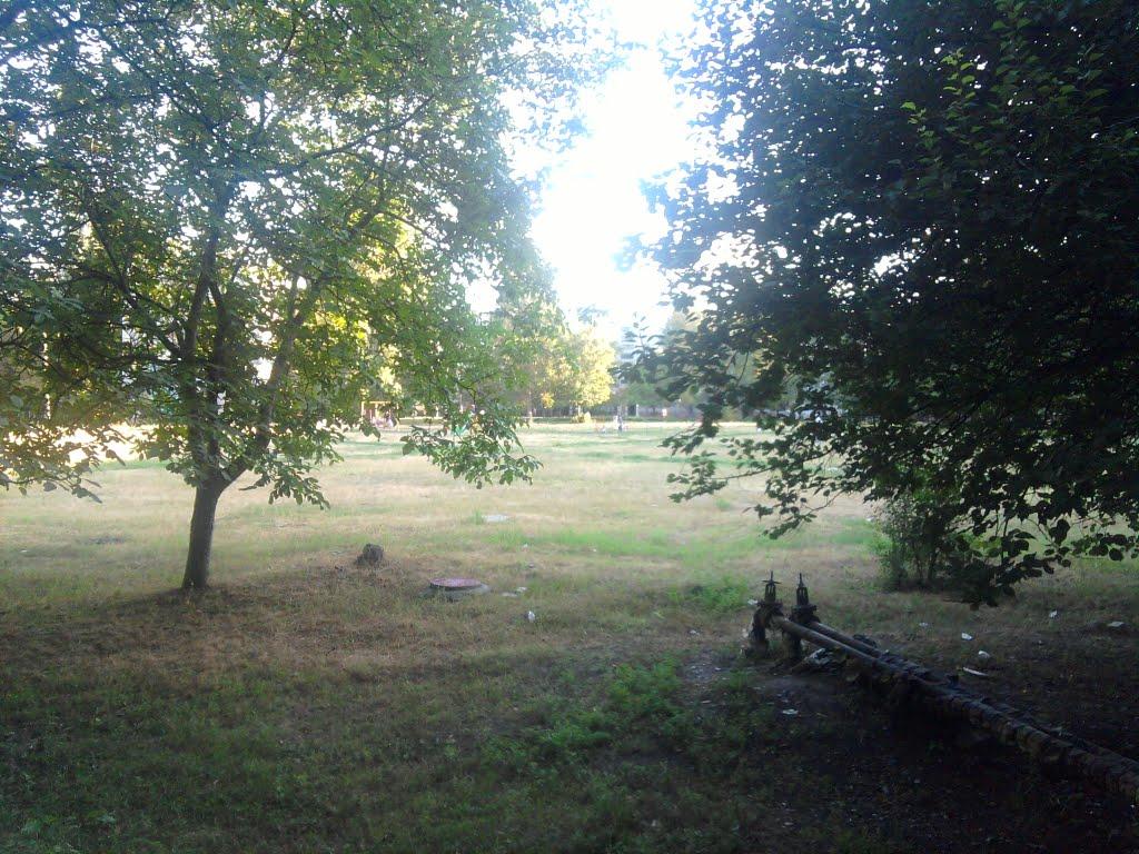 Вільногірськ з panoramio.com - Вільногірськ