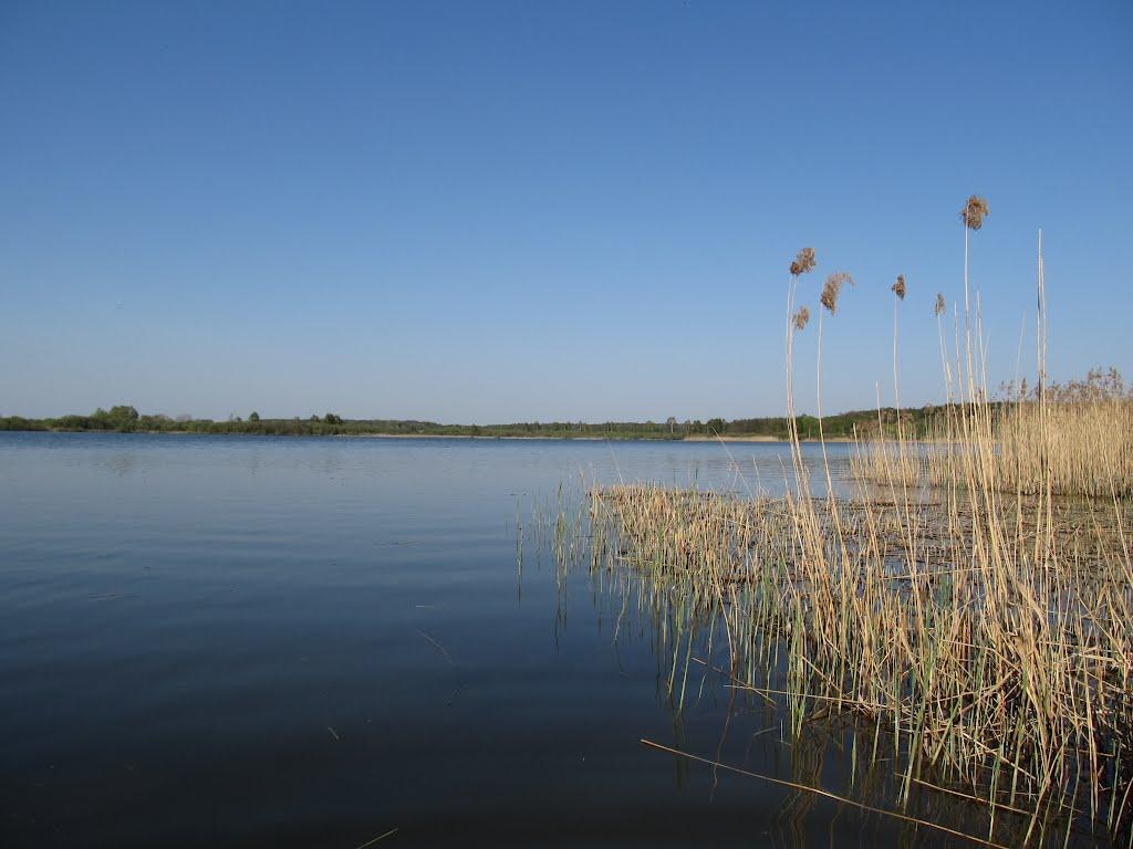 Бегета з panoramio.com - Бегета