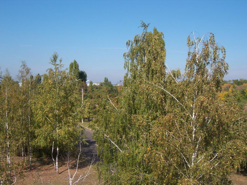 Олег з panoramio.com - Олег