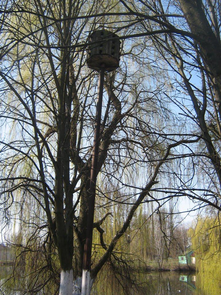 Андрушівка з panoramio.com - Андрушівка