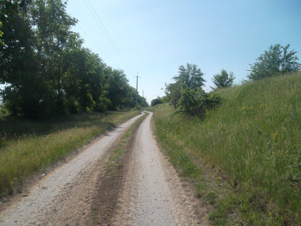 Первомайськ з panoramio.com (ч.2) - Первомайск