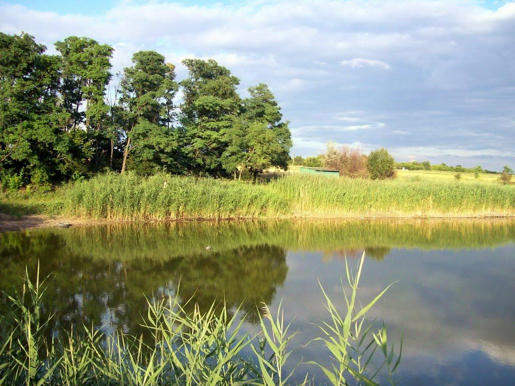 Лікнеп з panoramio.com - Liknep