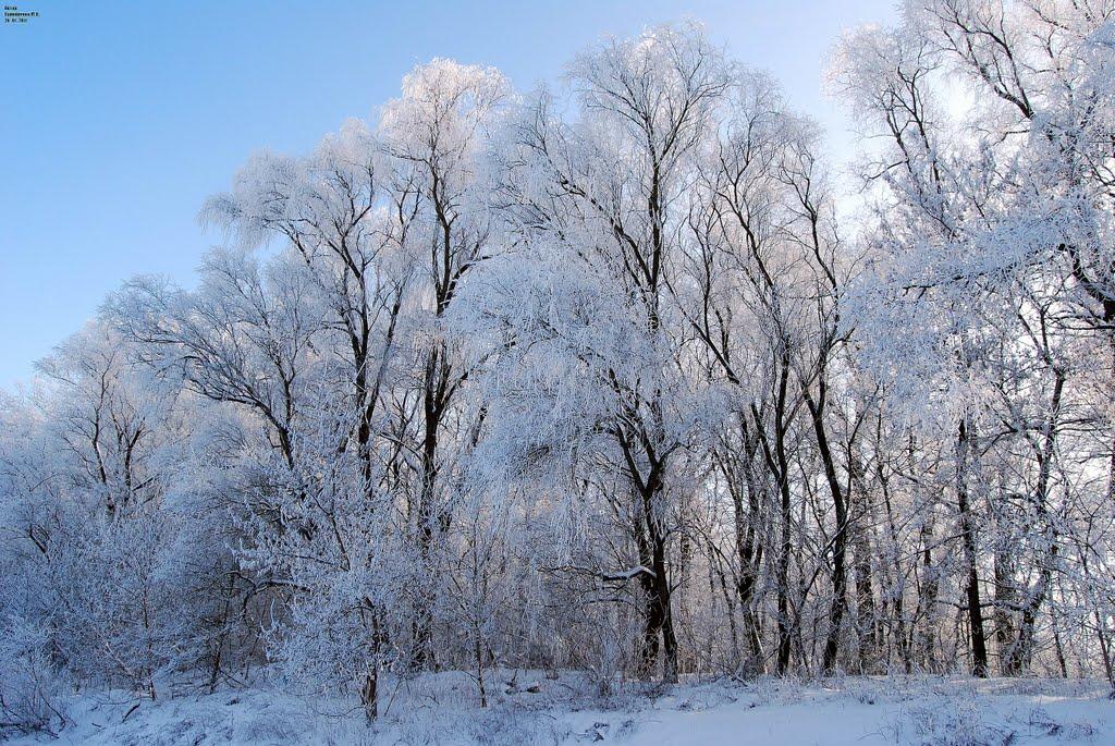 Приліпка з panoramio.com - Прилипка