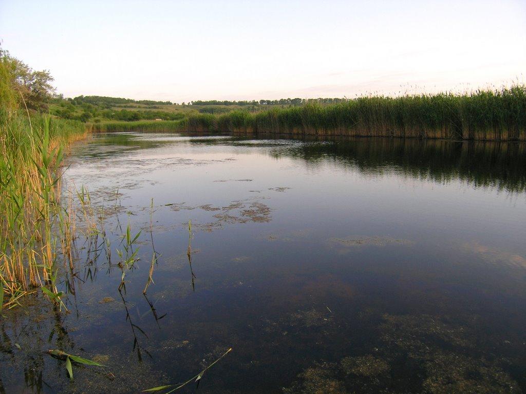 Спаське з panoramio.com - Спасское