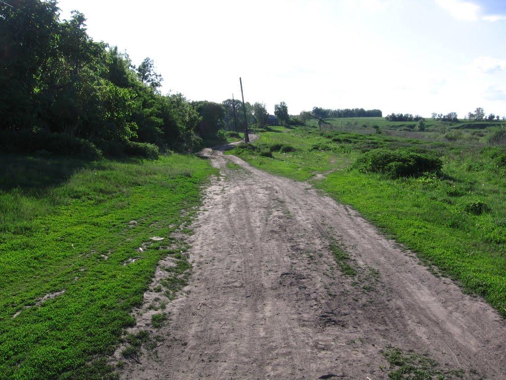 Малушине з panoramio.com - Малушино