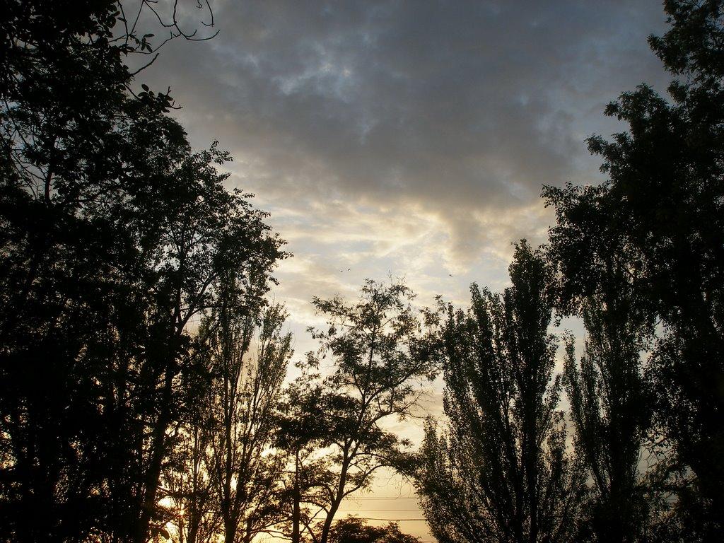 Іллічівське з panoramio.com - Іллічівське