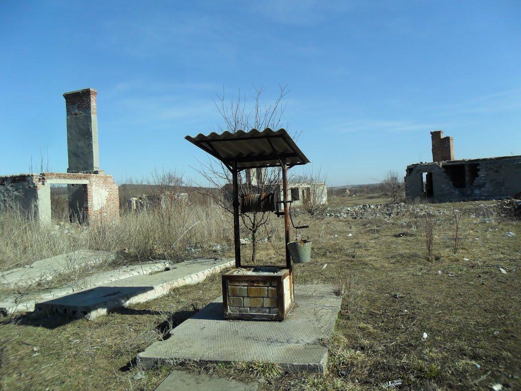 Зайцеве з panoramio.com - Зайцеве