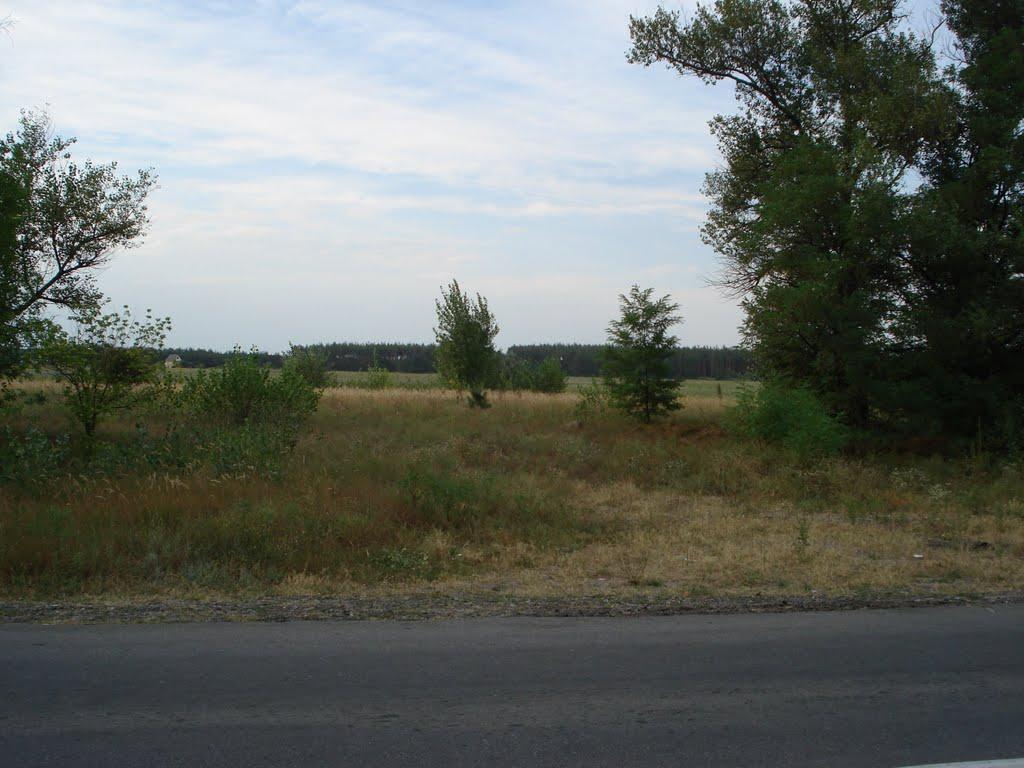 Піщанка з panoramio.com - Піщанка